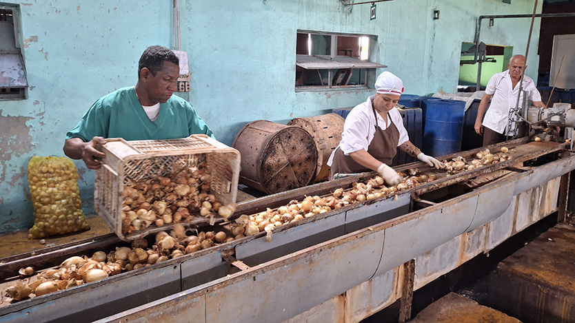 Aprovechar el fluido eléctrico al máximo es prioridad. Foto: Felix